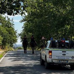 carabinieri a cavallo
