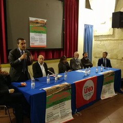 convegno su ospedale Perinei- art.1 Mdp