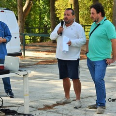 Incontro al bosco
