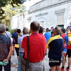 Incontro al bosco