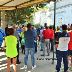 Incontro al bosco