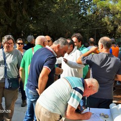 Incontro al bosco