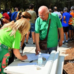 Incontro al bosco
