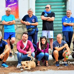 Incontro al bosco