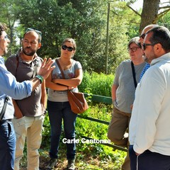 Incontro al bosco