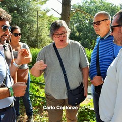 Incontro al bosco