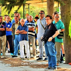 Incontro al bosco
