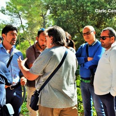 Incontro al bosco