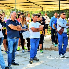 Incontro al bosco