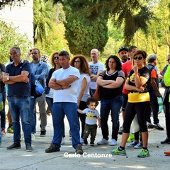 Incontro al bosco