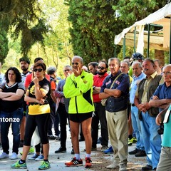 Incontro al bosco