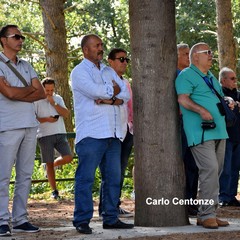 Incontro al bosco