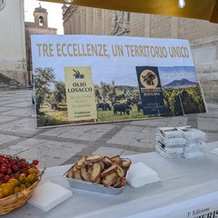 eccellenze bufalina olio