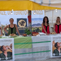 eccellenze bufalina olio