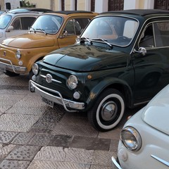 eccellenze bufalina olio