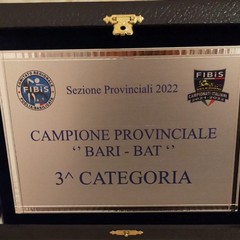 Enzo Santeramo- campione provinciale biliardo