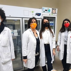 laboratorio trasformazione cannabis terapeutica