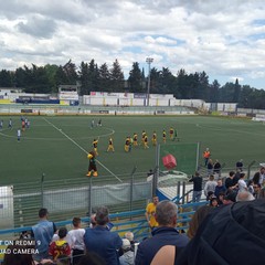 fbc vs manfredonia 050524