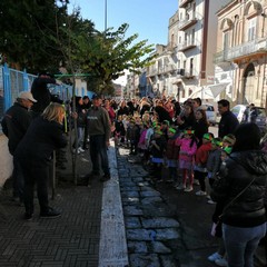 festa alberi