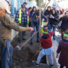 festa alberi