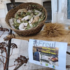 freul