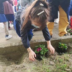 giornata mondiale api- scuola san giovanni Bosco