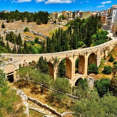 guida Repubblica- Parco alta murgia