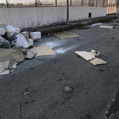Zona Industriale tra sporcizia e randagismo