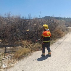 incendi 290625