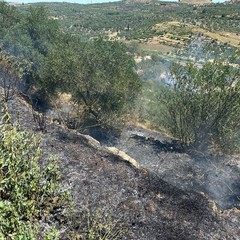 incendi 290625