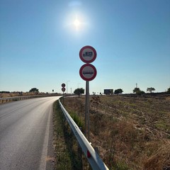 lavori tarantina