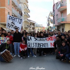 Manifestazione studentesca