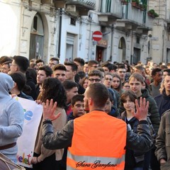 Manifestazione studentesca