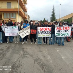 manifestazione liceo pro gaza 1