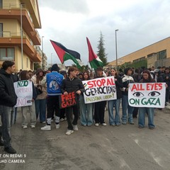 manifestazione liceo pro gaza 1