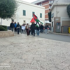 manifestazione liceo pro gaza 1