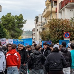 manifestazione studenti 301026
