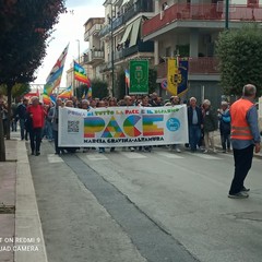 marcia gravina-altamura 241026