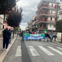 marcia gravina-altamura 241026
