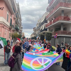 marcia gravina-altamura 241026