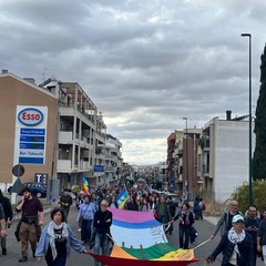 marcia gravina-altamura 241026