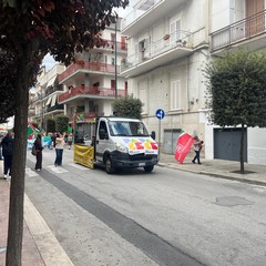 marcia gravina-altamura 241026