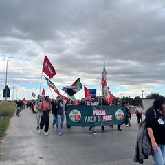 marcia gravina-altamura 241026