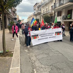 marcia gravina-altamura 241026