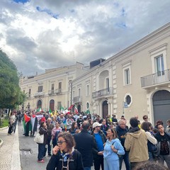 marcia gravina-altamura 241026