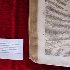mostra filosofia- finia