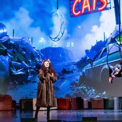 musical cats -arabesque