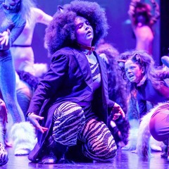 musical cats -arabesque