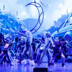 musical cats -arabesque