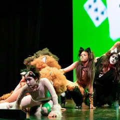 musical cats -arabesque